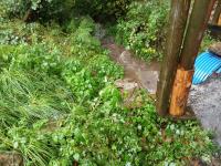 20240914_155117 (1024x768).jpg